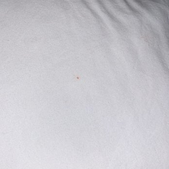 Motel 6 - BLOOD stain on pillow! - Hotels Near Me - Ontario, Oregon Motel 6 - BLOOD stain on pillow! - Hotels Near Me - Ontario, Oregon