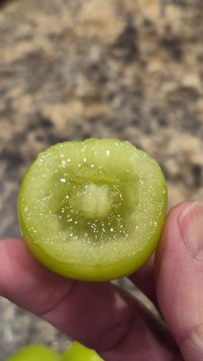 T&T Supermarket Lynnwood by null