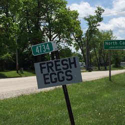 Pam's Farm Stand - I can never resist a sign that says "fresh eggs"!