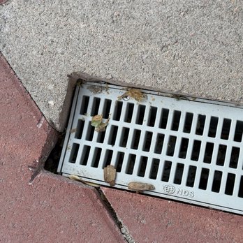High Impact Landscape Construction - uneven drain box trip hazard - Tree Services Near Me High Impact Landscape Construction - uneven drain box trip hazard - Tree Services Near Me
