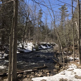 Hilton Falls Conservation Area - Parks Near Me - Milton, Ontario