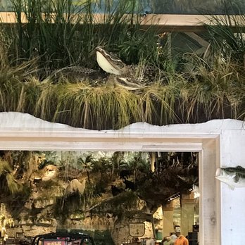 Bass Pro Shops - Bass pro Shop. Outside and inside. - Hunting & Fishing Supplies Near Me - Gainesville, Florida