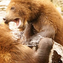 Gibble :: Picture of the Day :: Die Fotocommunity im Norden