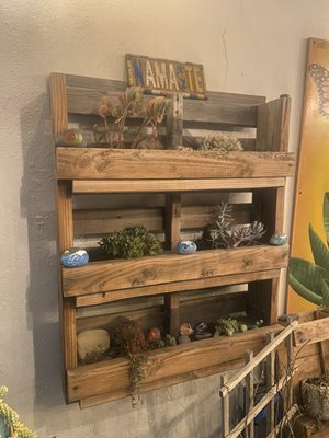 Samesun Ocean Beach - San Diego by null