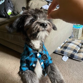 All About Paws Pet Spa - Pet Groomers Near Me - Upland, California All About Paws Pet Spa - Pet Groomers Near Me - Upland, California
