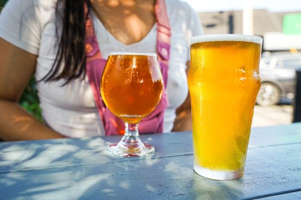 The Black Cat by null The Black Cat by null