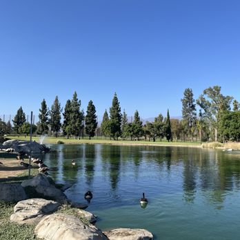 Almansor Park - Lake with geese - Parks Near Me - Alhambra, California