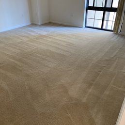 Freshly cleaned carpets dried the same day.  On time, quick, efficient and clean.