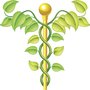Photo of Charlotte Acupuncture Therapy