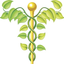 Charlotte Acupuncture Therapy - Charlotte Acupuncture Therapy