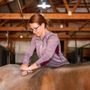 Iron Horse Equine