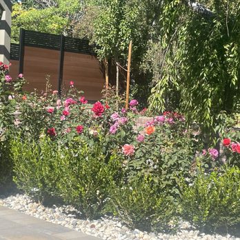 JS Lawn Service - Landscaping Near Me JS Lawn Service - Landscaping Near Me