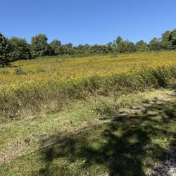Chestnut Ridge Metro Park