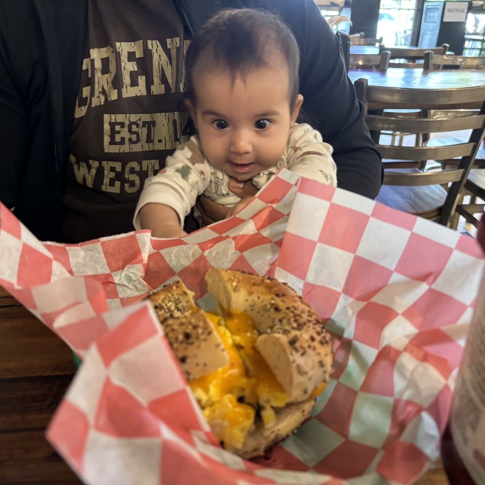 Nozzo Pazzo - Evelyn approves of the bagel sandwich - Delis Near Me - Vienna, Virginia Nozzo Pazzo - Evelyn approves of the bagel sandwich - Delis Near Me - Vienna, Virginia