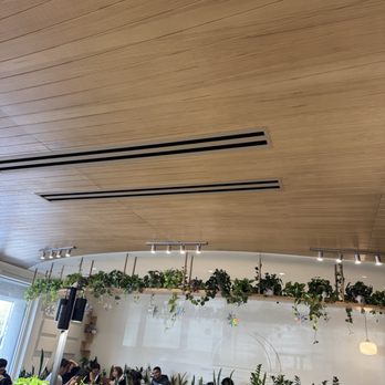 Moonwake Coffee Roasters - Coffee Roasteries Near Me - San Jose, California Moonwake Coffee Roasters - Coffee Roasteries Near Me - San Jose, California