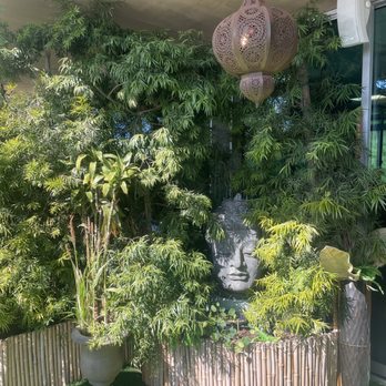 Rafi Lounge - Yoga Near Me - Malibu, California