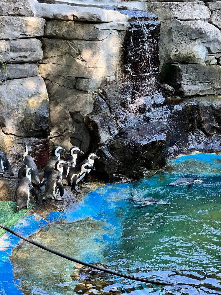 Zoo Aquarium de Madrid