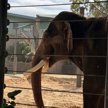 Houston Zoo - Zoos Near Me - Houston, Texas Houston Zoo - Zoos Near Me - Houston, Texas