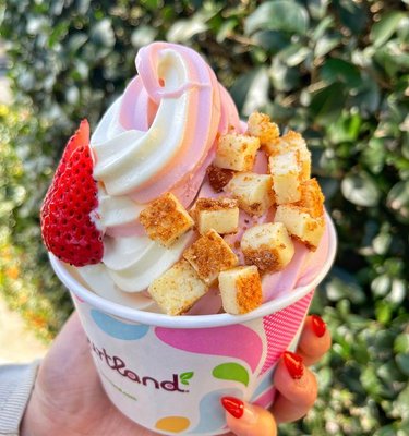 Yogurtland Garland by null