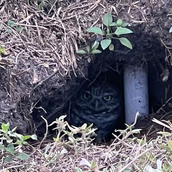 Jacaranda Lakes Park - Who's in there? - Parks Near Me - Plantation, Florida