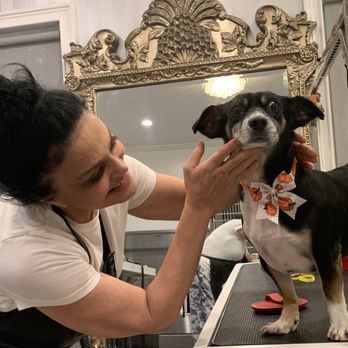 MFD Grooming & Wellness - Oscar with Thankgiving bow and Ariela - Pet Groomers Near Me MFD Grooming & Wellness - Oscar with Thankgiving bow and Ariela - Pet Groomers Near Me