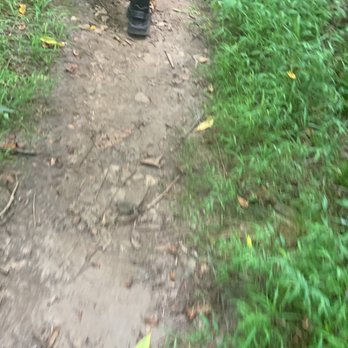 Ridley Creek State Park - Trail - Hiking Near Me - Media, Pennsylvania