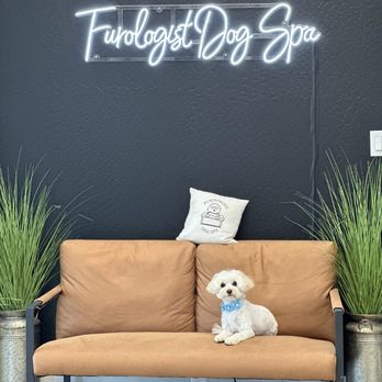 Furologist Dog Spa - Pet Groomers Near Me - San Jose, California