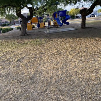 Associated Asset Management - More dead grass. - Property Management Near Me - Tempe, Arizona Associated Asset Management - More dead grass. - Property Management Near Me - Tempe, Arizona