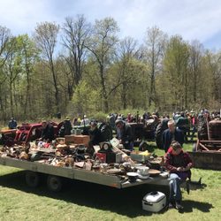 Wegner Auctioneers