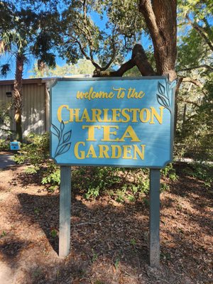 Charleston Tea Garden by null