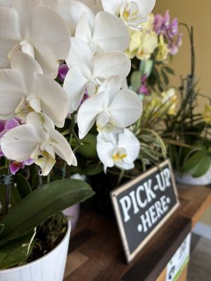 Banh Mi Land by null