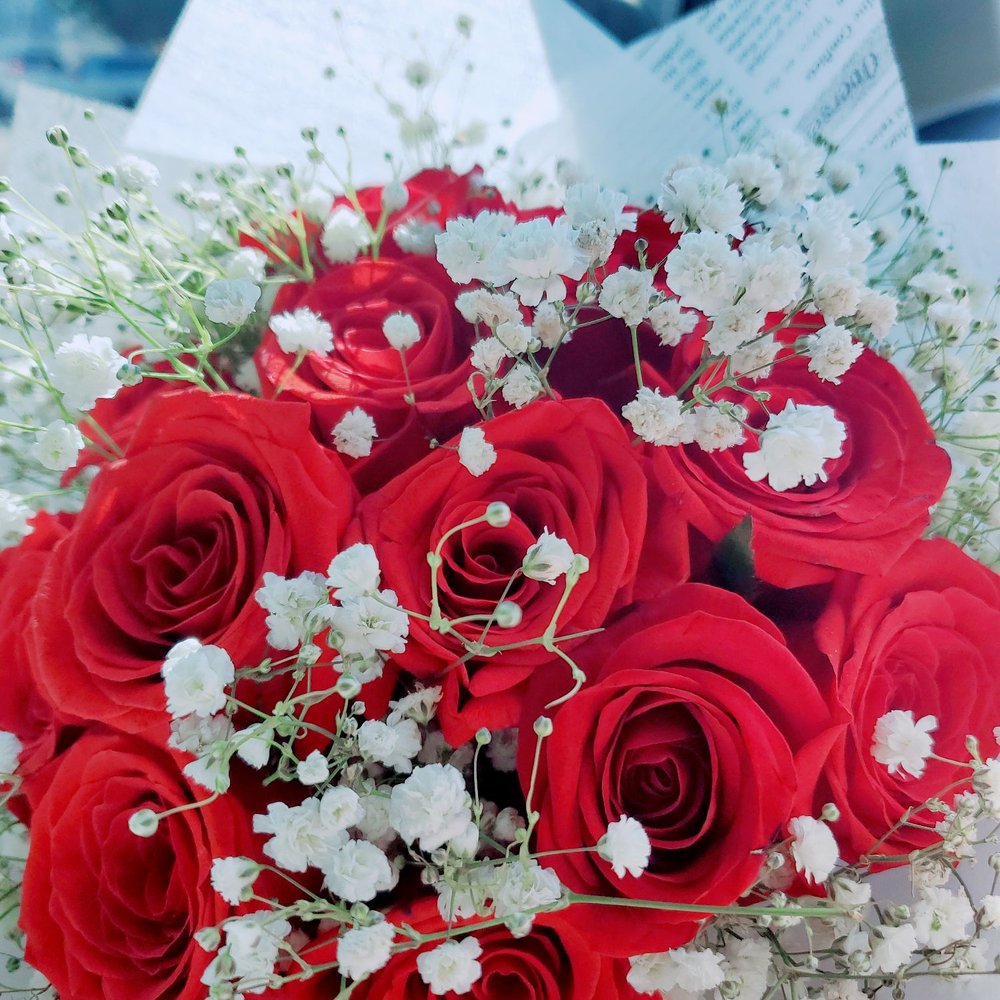 Dozen rose bouquet