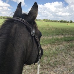Rocking B Stables - On a trail ride
