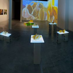 Grand Central Art Center - Alicia Rojas: With Honey in the Mouth - Con Miel en la Boca (2023)
