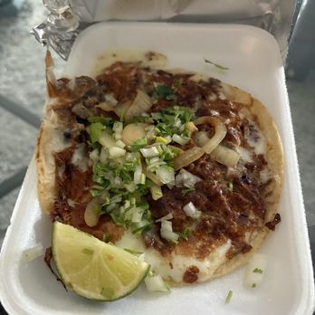 Tacos El Mosco - Gringa with pork - Tacos Near Me - Baton Rouge, Louisiana Tacos El Mosco - Gringa with pork - Tacos Near Me - Baton Rouge, Louisiana