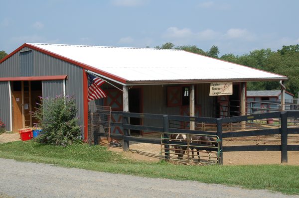 Equine Rescue League