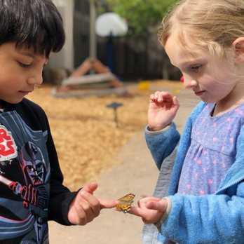 Creative Nature Project - Preschools Near Me - Orangevale, California