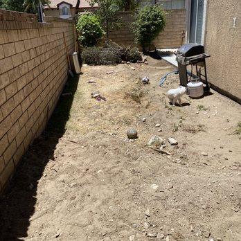 CM Landscaping Services - Before - Tree Services Near Me
