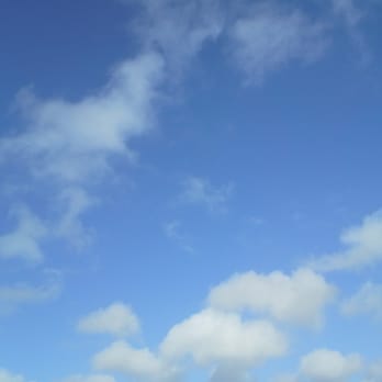 Northgate Community Park - Northgate Community Park Sky, Fremont, CA - Parks Near Me - Fremont, California Northgate Community Park - Northgate Community Park Sky, Fremont, CA - Parks Near Me - Fremont, California