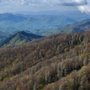 Arbors At Island Landing Hotel & Suites