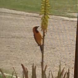Country Estates RV Park - Lots of wildlife
