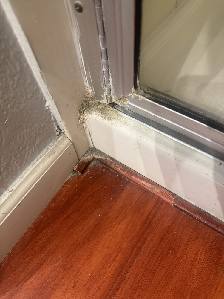 DURANTE & RICH REAL ESTATE 16 Photos & 49 Reviews 3824 N Johnsburg