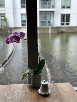 Takara Sushi by null