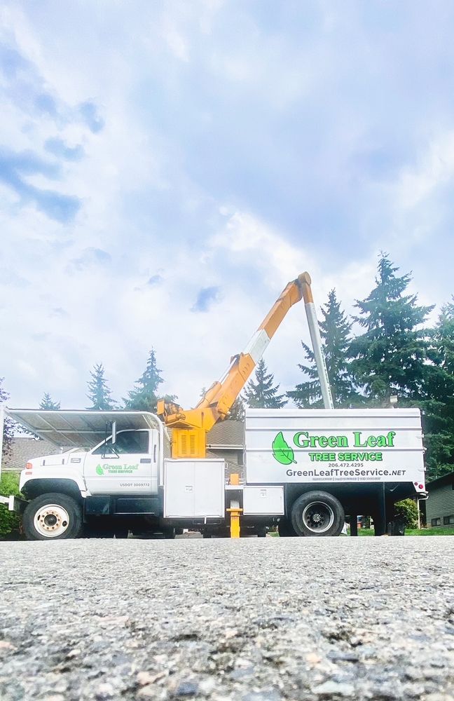 Green Leaf Tree Service - tree service in Federal Way, WA