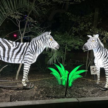 LA Zoo Lights - Zoos Near Me - Los Angeles, California LA Zoo Lights - Zoos Near Me - Los Angeles, California