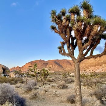 Ryan Campground - Hiking Near Me - Joshua Tree, California Ryan Campground - Hiking Near Me - Joshua Tree, California
