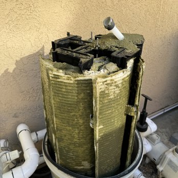 Pool Specs - Dirty filter before Jordan cleaned it - Pool & Hot Tub Service Near Me