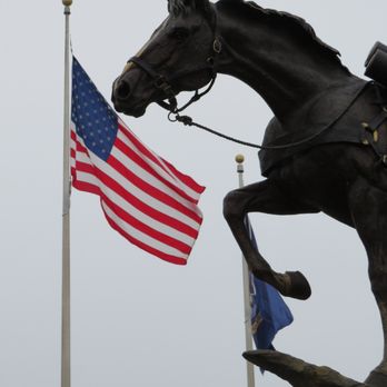 World Equestrian Center - She wasn't a horse...she was a Marine.  (Reckless) - Stadiums & Arenas Near Me - Ocala, Florida
