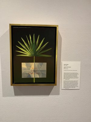 Monterey Museum of Art by null