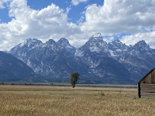 Schwabacher Landing by null